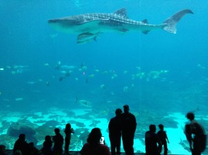 Spring Break 2014 134